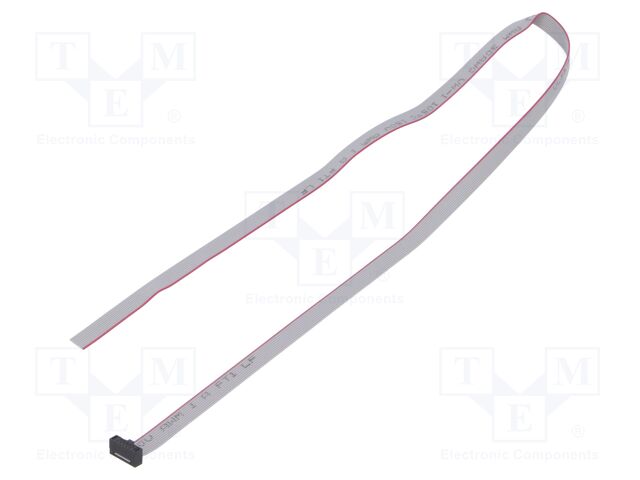 Ribbon cable with IDC connectors; Tape ph: 0.64mm; 499.88mm