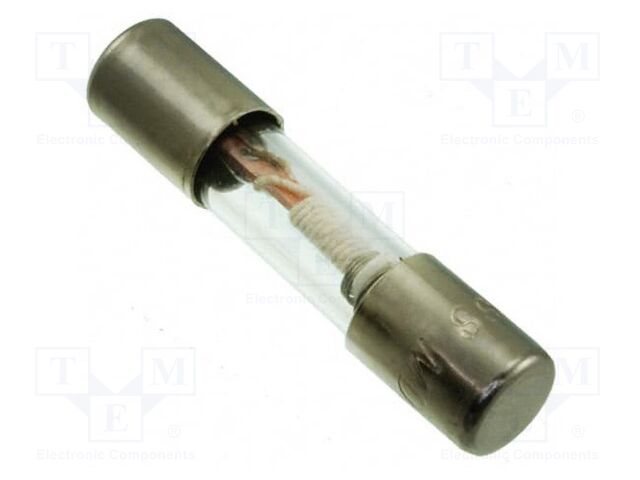 Fuse: fuse; time-lag; 40A; 6.3x32mm