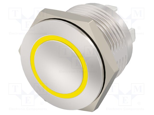 Switch: vandal resistant; Pos: 2; SPST; 2A/36VDC; IP67; OFF-(ON)