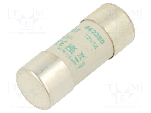 Fuse: fuse; aM; 80A; 500VAC; ceramic,cylindrical,industrial