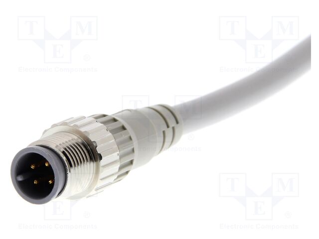 Connection lead; M12; PIN: 4; straight; male