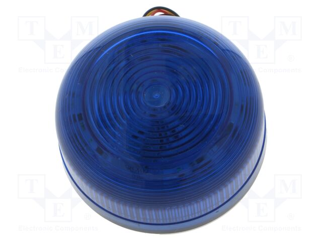 Signaller: lighting; flashing light; white; Flashguard; 11÷35VDC