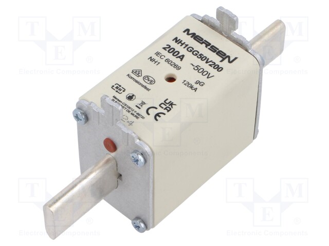 Fuse: fuse; gG; 200A; 500VAC; 250VDC; ceramic,industrial; NH1