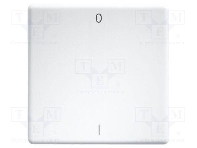 Cover plate; intelligent house,buttons and switches; double