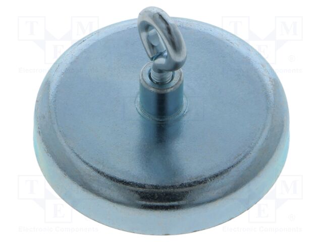 Magnet: permanent; hard ferrite; 180N; 47mm; with eyelet