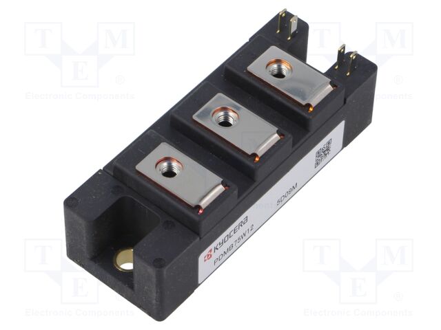 Module: IGBT