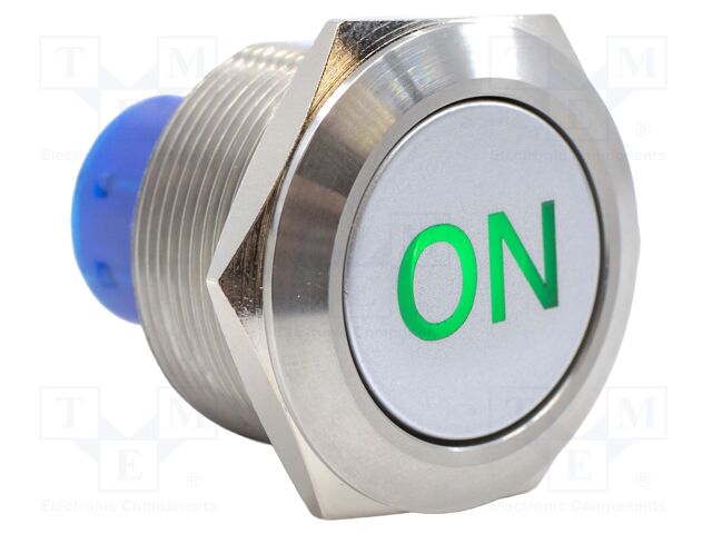 Switch: vandal resistant; DPDT; 3A/250VAC; IP67; ON-(ON); green