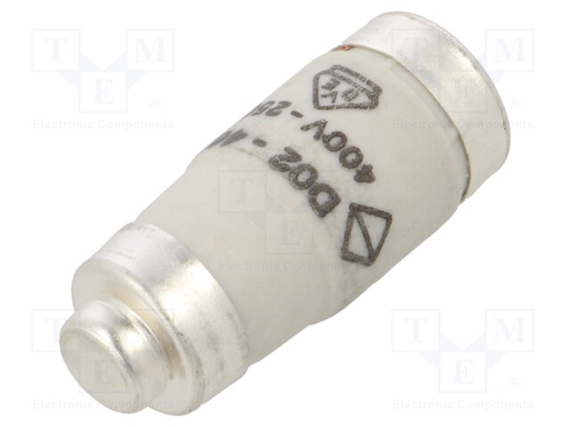 Fuse: fuse; gG,time-lag; 40A; 400VAC; 250VDC; D02