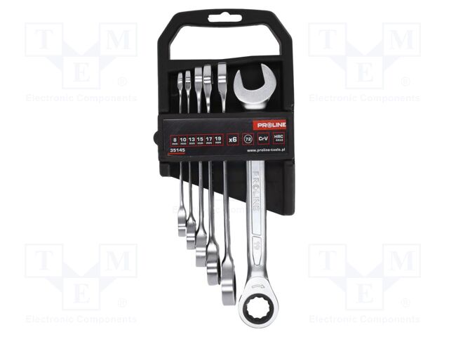 Wrenches set; combination spanner,with ratchet; 6pcs.