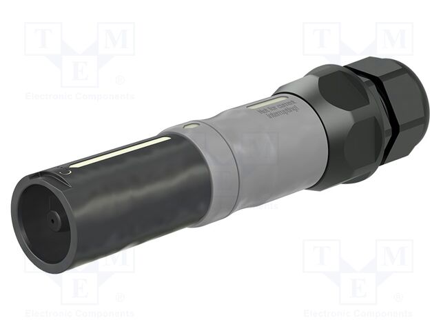 Connector: AC supply; screw terminal (AxiClamp); female; 10BV