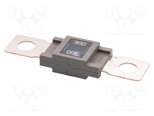 Fuse: fuse; 300A; 32VDC; automotive; 68mm; M8 screw; 68x18.3mm