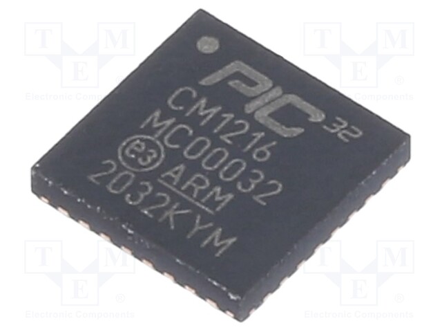 PIC microcontroller; Family: PIC32