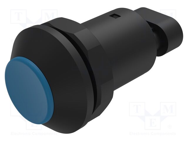 Switch: vandal resistant; Pos: 2; SPST-NO; 0.5A/48VDC; IP67; 09-RS