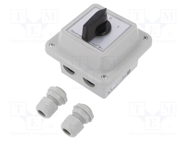 Switch: cam switch; Stabl.pos: 2; 16A; 0-1; Mounting: wall mount