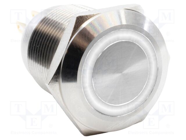 Switch: vandal resistant; SPST-NO + SPST-NC; 2A/24VDC; IP67; 24V