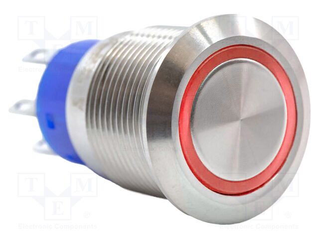 Switch: vandal resistant; DPDT; 3A/250VAC; IP67; ON-(ON); 3V; Ø19mm