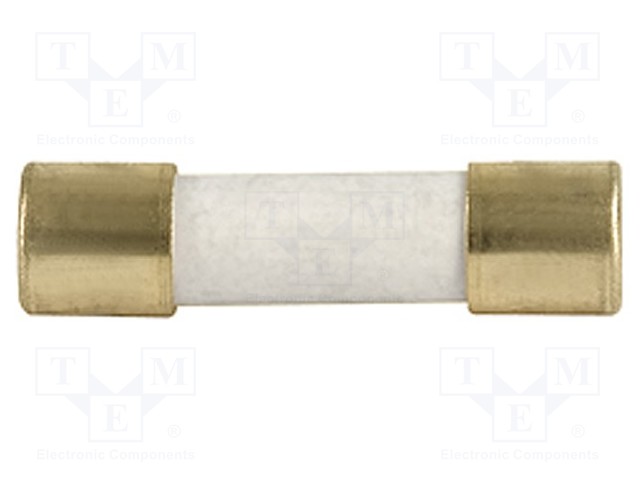 Fuse: fuse; time-lag; 2A; 250VAC; 300VDC; SMD; ceramic,cylindrical