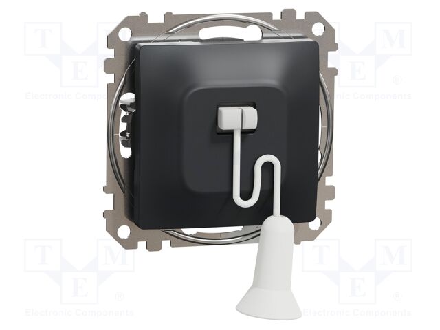 Pull-chain switch; 250VAC; IP20; anthracite; Illumin: none
