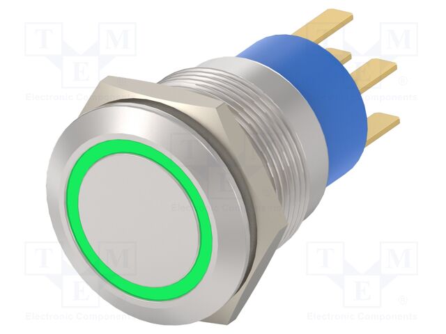 Switch: vandal resistant; Pos: 2; DPST; IP67; OFF-(ON); Illumin: LED