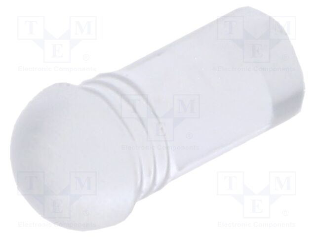 Fiber for LED; round; Ø3.2mm; Front: convex; straight; IP68