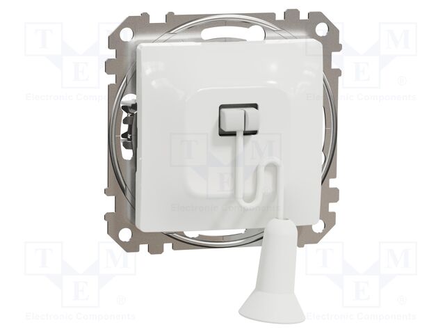 Pull-chain switch; 250VAC; IP20; white; Button marking: blank