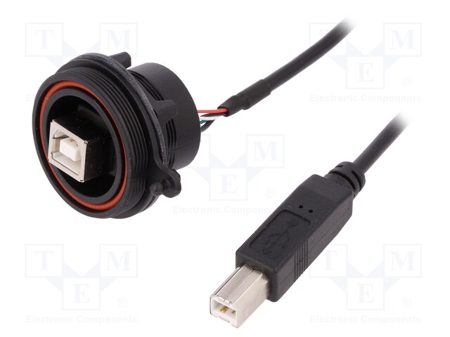 Socket; USB B; USB B plug,USB B socket-front; USB Buccaneer