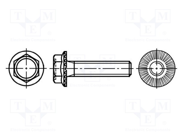 Screw; with flange; Head: hexagonal; none; steel; zinc