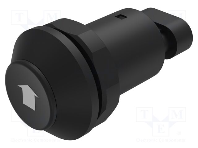 Switch: vandal resistant; Pos: 2; SPST-NO; 0.5A/48VDC; IP67; 09-RS