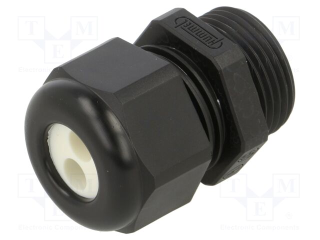 Cable gland