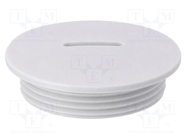 Stopper; PG36; IP56; Mat: polyamide; Body: light grey; Thread: PG