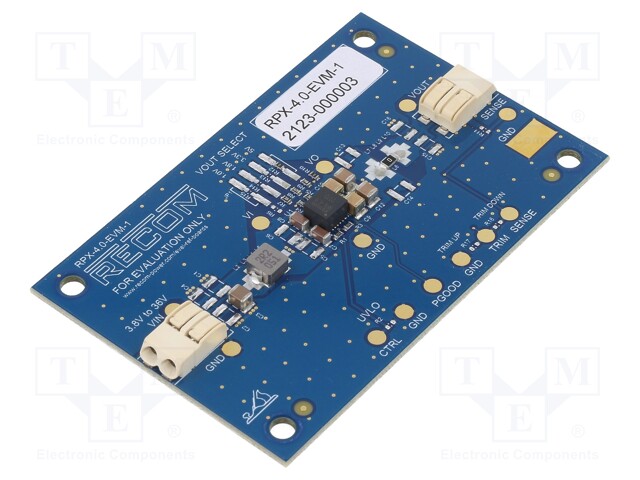 Converter: DC/DC; Series: RPX-4.0