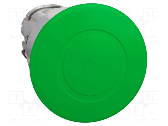 Switch: push-button; Stabl.pos: 2; 22mm; green; Illumin: none; IP66