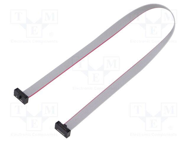 Ribbon cable with IDC connectors; Tape ph: 0.64mm; 254mm