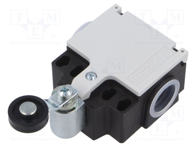 Limit switch; plastic roller Ø19mm; NO + NC; 10A; M20; IP65