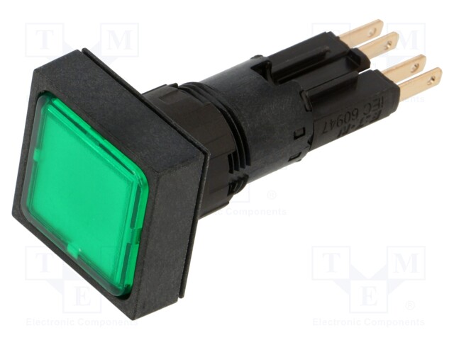 Control lamp