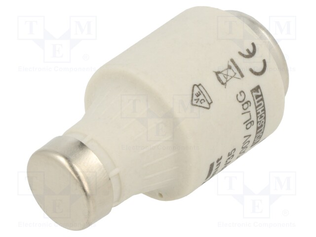 Fuse: fuse; gG; 35A; 500VAC; 500VDC; industrial; DIII