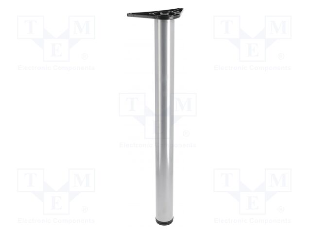 Foot