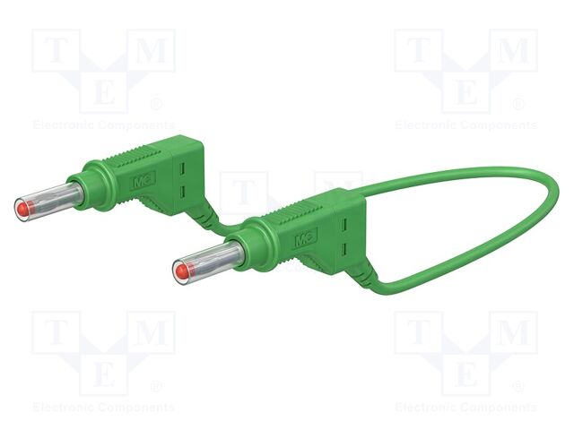 Test lead; 19A; banana plug 4mm,both sides; Len: 1m; green