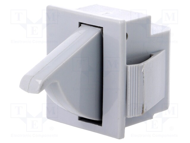 Switch: door; Pos: 2; SPDT; 5A/250VAC; Leads: 4,8x0,5mm connectors