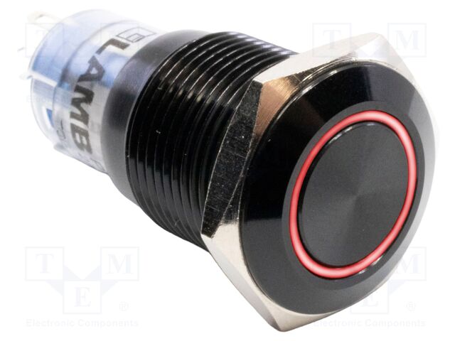 Switch: vandal resistant; Pos: 2; DPDT; 2A/48VDC; IP40; ON-(ON)