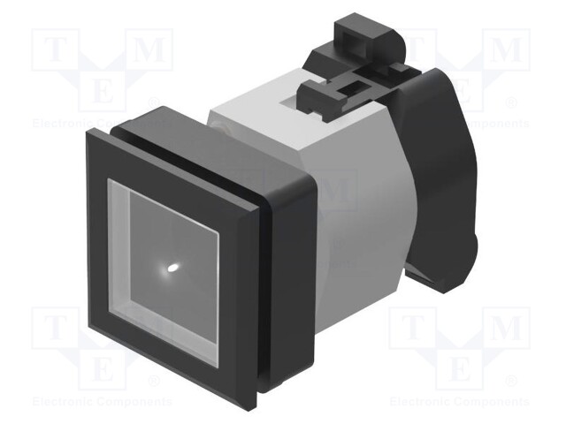 Switch: push-button; 30mm; Stabl.pos: 2; colourless; IP65; 04; Pos: 2