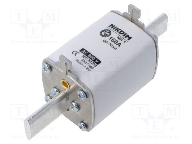 Fuse: fuse; gG; 160A; 800VAC; industrial; NH1