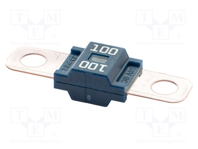 Fuse: fuse; 100A; 58VDC; automotive; 41mm; M5 screw; 41x12mm