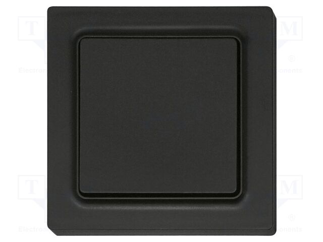 Wireless push button; EnOcean; 30m; Ch: 2; intelligent house