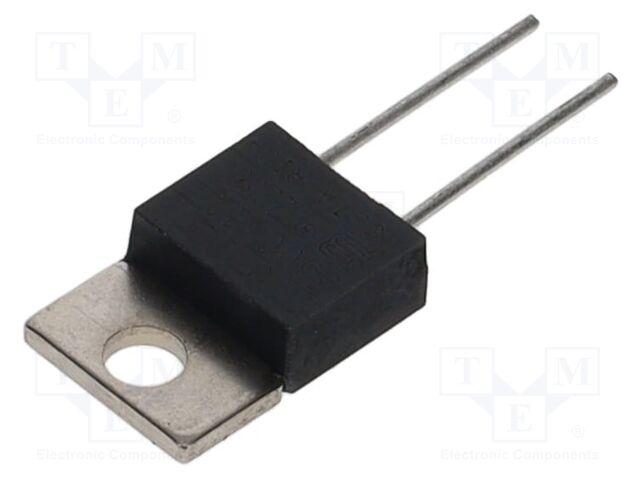 Resistor: thick film