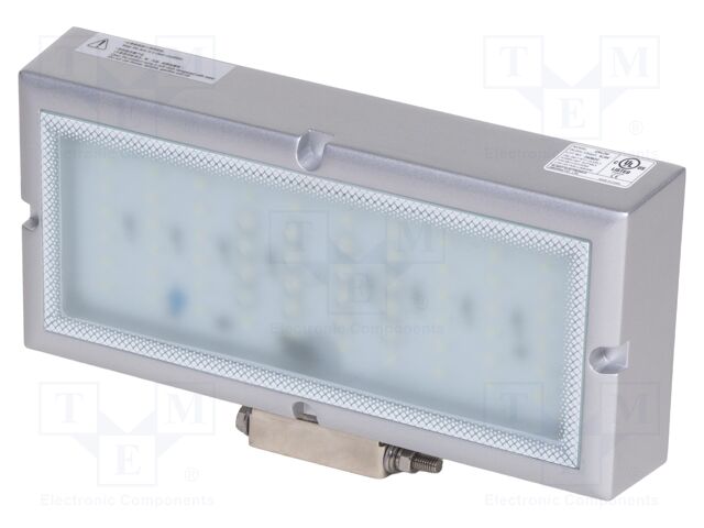Lamp: LED flood light; IP67; 24VDC
