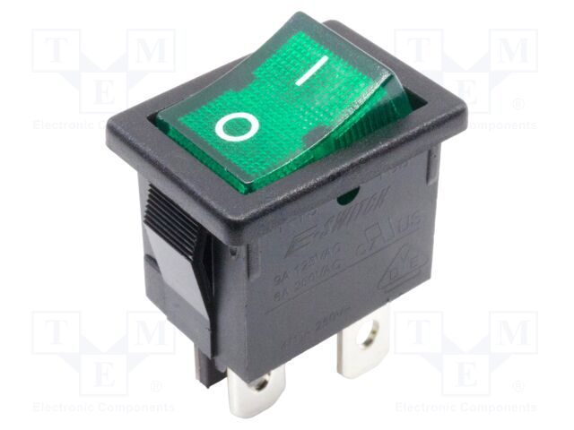 ROCKER; DPST; ON-OFF; 9A/125VAC; green; neon lamp; R1973; -30÷65°C