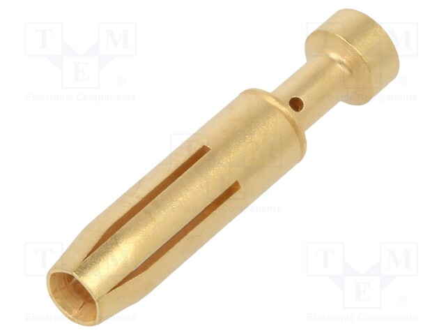 H-BE BCEM AU 0.75-1.0 FEMALE CONT (100)