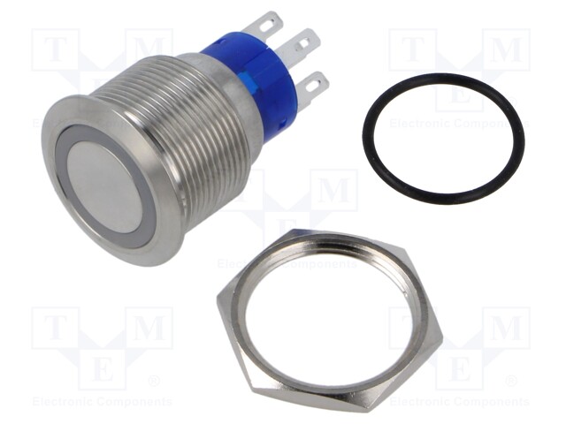 Switch: vandal resistant; Pos: 2; DPST; 3A/250VAC; OFF-(ON); blue