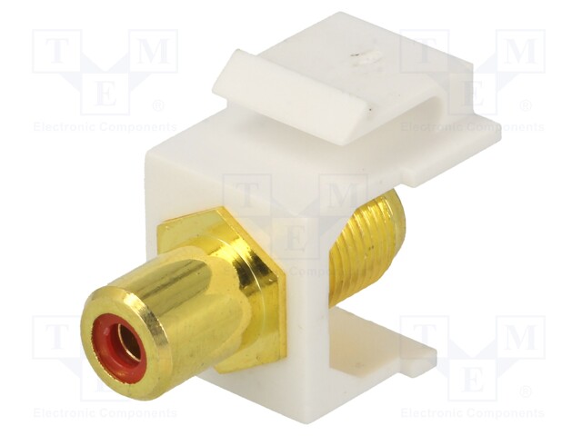 Socket; Transition: adapter; female x2; Keystone; straight